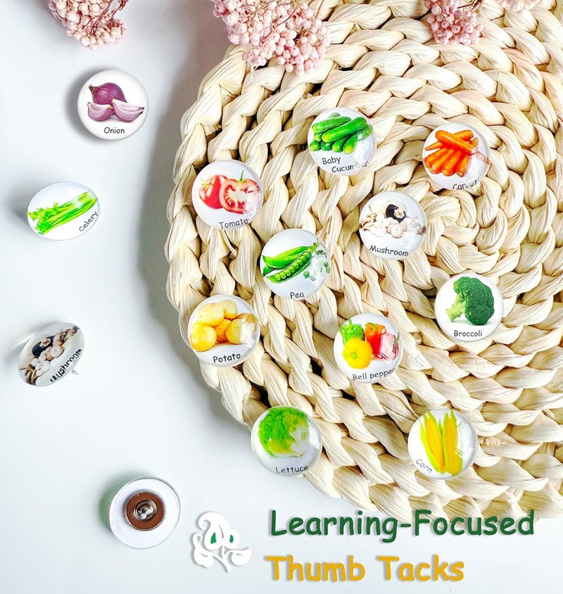 Tandarui Push Pins for Cork Board -24pcs Decorative Push Pins with Case,Cute Thumb Tacks and Pushpins for Bulletin Board, 12 Colors Vegetables Pushpins - Image 2